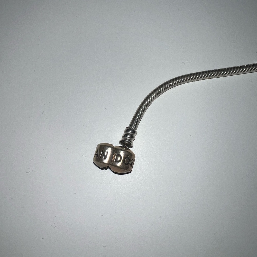 Sterling Silver Pandora Bracelet